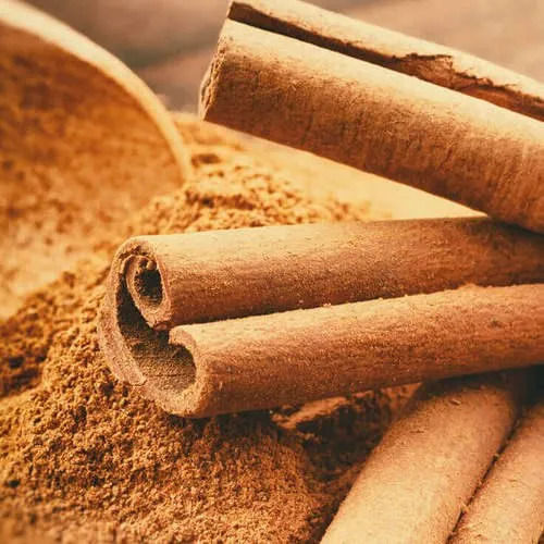 Cinnamon Bark Extract - Product Type: Dried