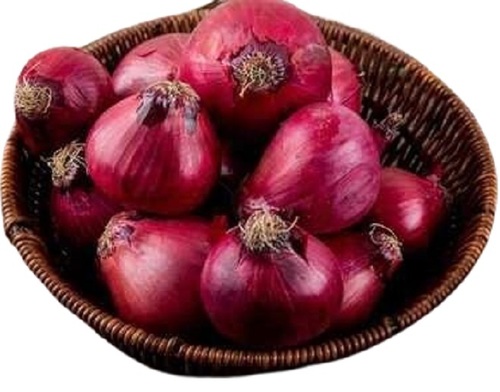 Onion - Round Shape Vibrant Red-Purple Color Raw Processing Form | Crisp Texture Mild Sweet Flavor Rich in Antioxidants Ideal for Salads and Salsas