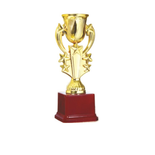 Golden Trophy For College Event And Competition - Color: Various Colors