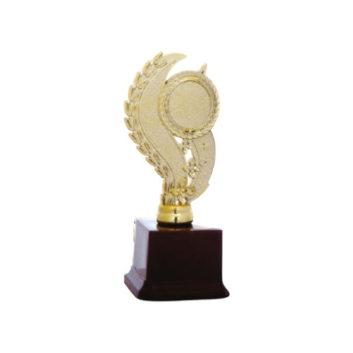 Trophy For Students And Teacher And School Events - Color: Various Colors