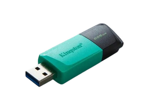Kingston 256Gb Usb Pen Drive - Application: Computer