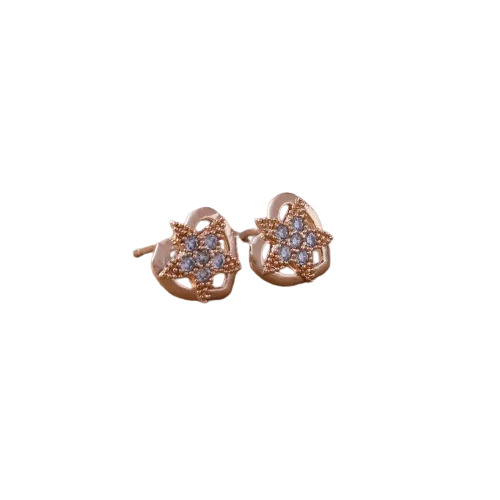 Ladies Fancy Earrings