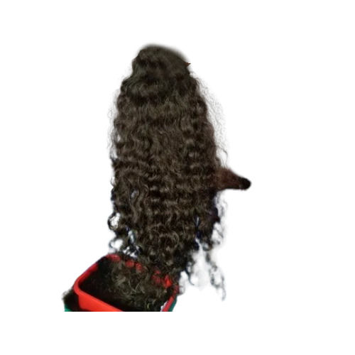 Indian Human Natural Curly Hair - Length: 24 Inch (In)