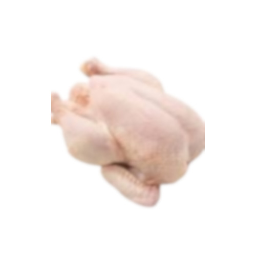Chicken Meat - Style: Frozen