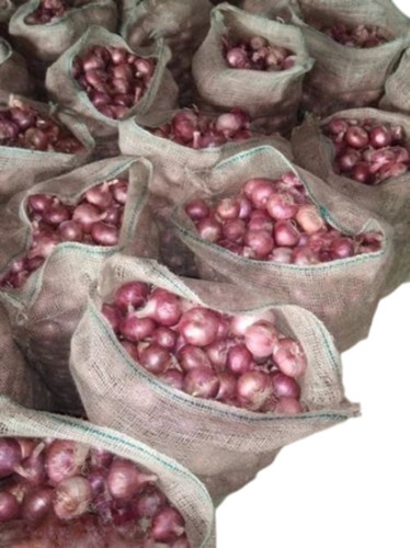 Fresh Garwa Onion - Fresh Quality, 100% Pure, Round Shape, Chopped, Shelf Life: 15 Days | Ideal for Food/Cooking, Maintain in Cool & Dry Places
