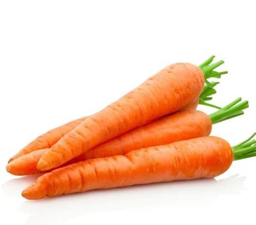 Fresh Carrot  - Shape: Big