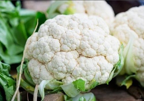 Fresh Cauliflower - Shape: Big