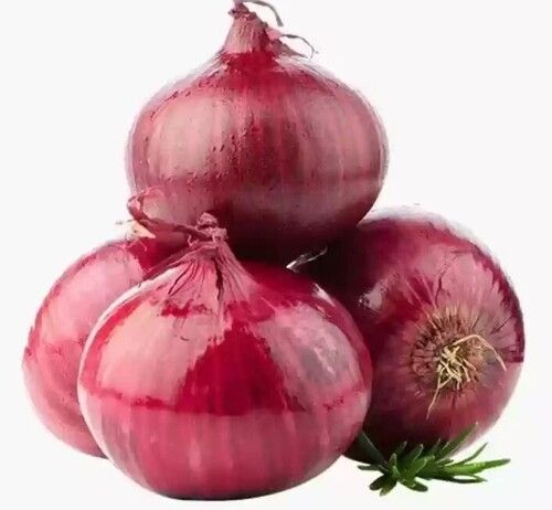 Red Onion 