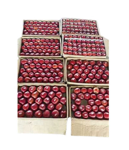 Red Delicious Apple - Cultivation Type: Common