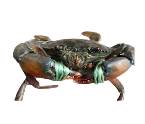 Live Crab