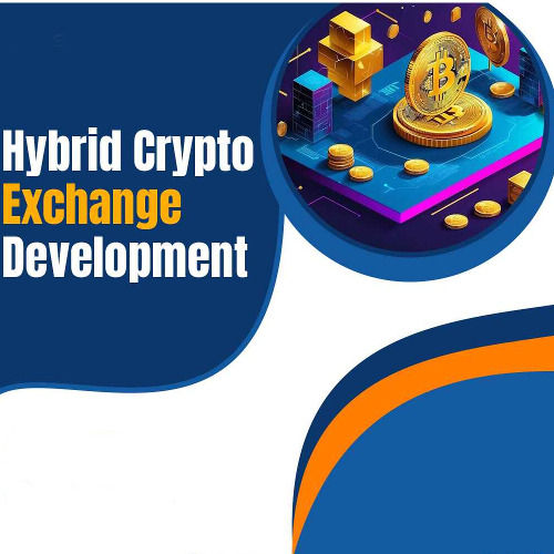 Hybrid Cripto Currency Exchange Software Development Service