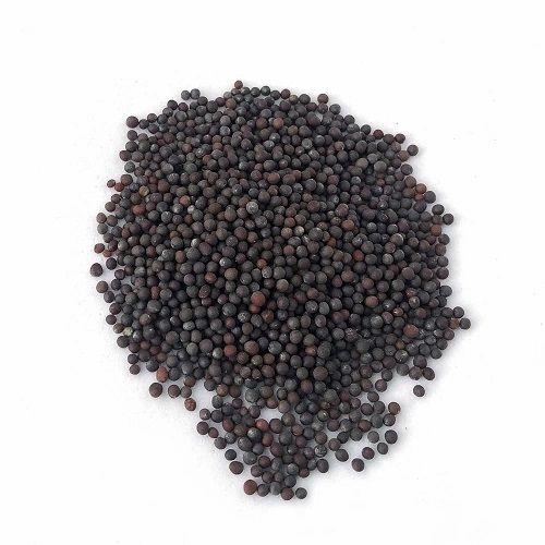 Black Mustard Seeds - Shelf Life: 1 Months