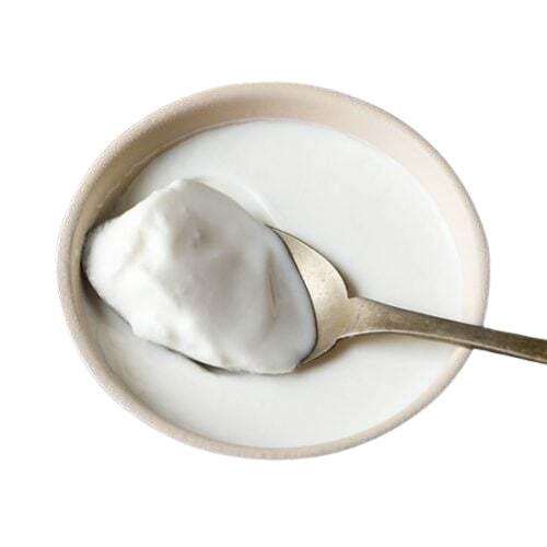 Fresh Curd - Fat Filled Milk Powder, 1000 Grams, White Color, Original Flavor, Raw Processing, Shelf Life: 3 Days, Suitable for All Age Groups