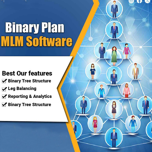 Spillover Binary Plan Software Development Service By TAKSH IT SOLUTIONS PRIVATE LIMITED