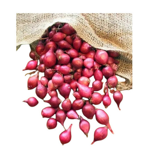 Baby Onions - 100% Pure, Standard Size, Red Color | Preservatives-Free, Nutrition Enriched, Pesticide-Free, Rich In Antioxidants