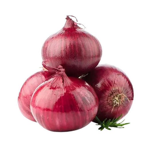Red Onion - Standard Size, Red Color | 100% Pure, Preservatives-Free, Health Friendly, Nutrition Enriched, Pesticide-Free, Rich in Antioxidants