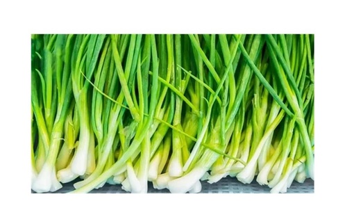 Spring Onion - 100% Pure Premium Quality, Green Color | Preservatives-Free, Health Friendly, Nutrient-Enriched, Pesticide-Free, Rich in Antioxidants and Vitamins