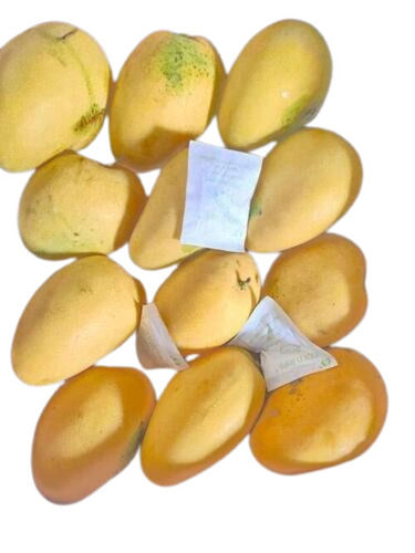 Fresh Mango