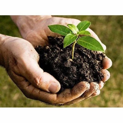 Organic Zinc Sulfate Fertilizer - 100% Pure, Brown Powder | Natural Composition, Eco-friendly, Enhances Soil Health, Boosts Soil Fertility, Promotes Sustainable Farming
