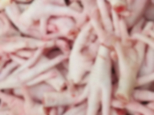 Chicken Feet - Standard Size, Light Pink Color | 100% Pure, Gluten-Free, Nutritious, Effective, Frozen, 1 Month Shelf Life