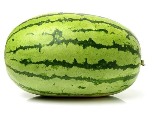 Watermelon - Cultivation Type: Open Air