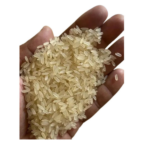 Ir 64 Rice - Cultivation Type: Organic