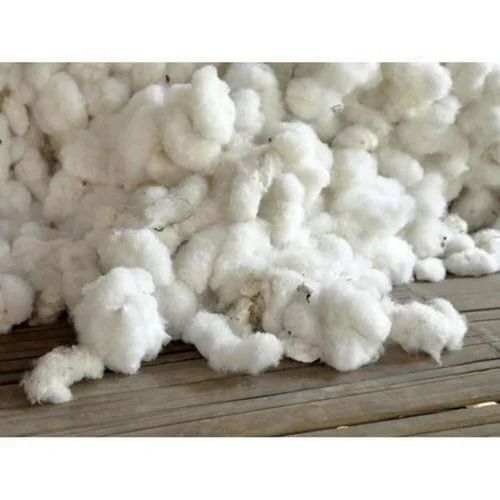 Pure Cotton - 100% Organic Cotton, Soft Texture, High Absorbency, Durable, Breathable, Versatile Use, Biodegradable, Easy to Process, Anti-Bacteria Quality, Dyed White