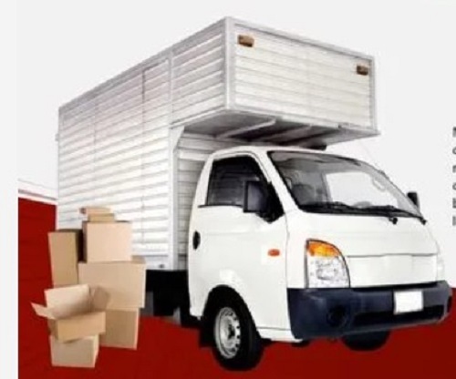 Packing and Moving Services