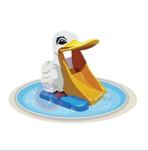 Duck Water Slide - Weather-Resistant PVC, Family-Friendly Design, Gentle Slope, Wide Flumes, Safe and Fun, Easy Installation, Quality Tested for Durability, Timely Delivery
