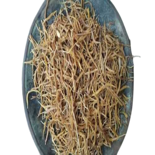 Shatavari Root - Dried Herbs in 10kg HDPE Bag Brown Color | Suitable for All Age Groups Antioxidant Properties Ideal for Storage in Dry Place