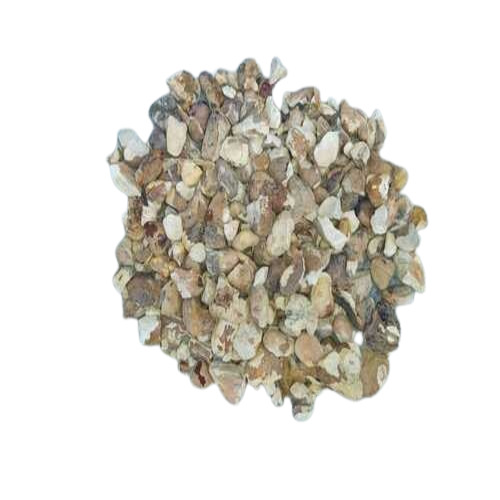 Water Chestnut - Premium Organic White Grade, 1 Year Shelf Life | Good Condition, Optimum Quality for Human Consumption