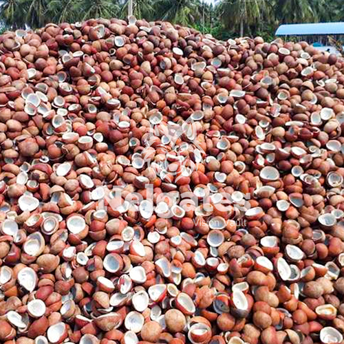 coconut copra