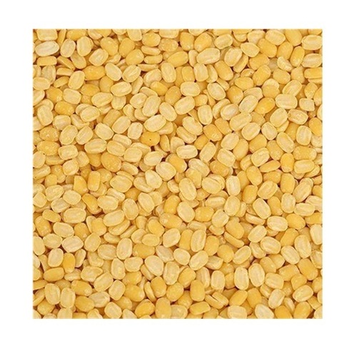 Moong Dal - Organic Yellow Lentils, Medium Whole Pulse Style | Pure Healthy, Easy To Digest, Rich In Protein, Gluten-Free, Ready To Cook, Nutrition Enriched, Preservatives-Free