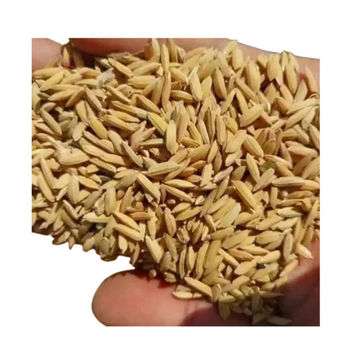 Paddy Rice - Medium Grain, Brown & Golden Color | Nutrient-Enriched, Gluten-Free, Vegetarian, Organic, Easy to Digest, Premium Quality