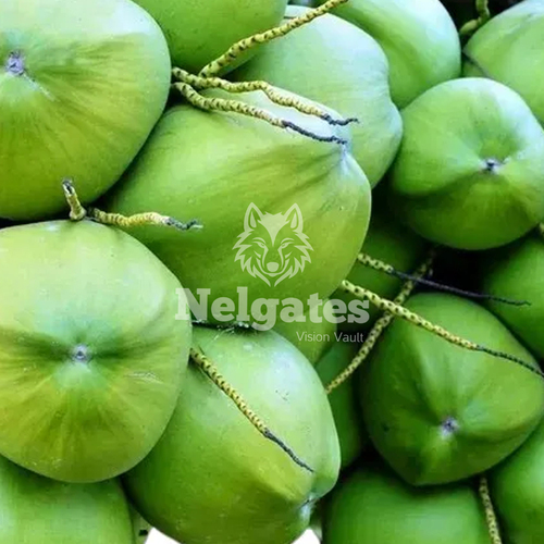 Tender coconut