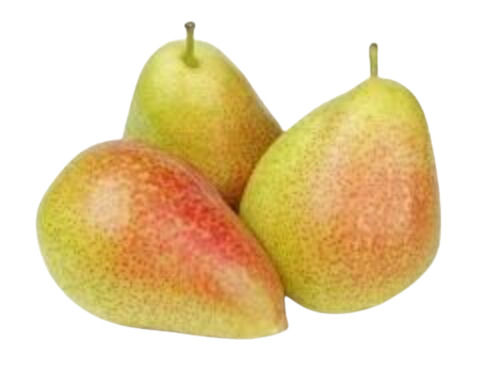 Forelle Pear