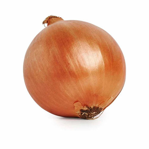 Brown Onion - Shape: Round