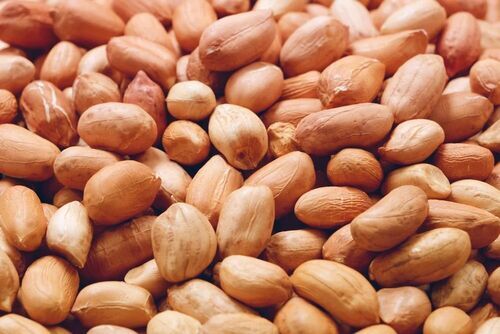 Peanut Kernels - 100% Raw, Natural Flavor, Red Color, Standard Size, Grade A, Dried Variety | Fresh Quality, Common Cultivation, Good For Health