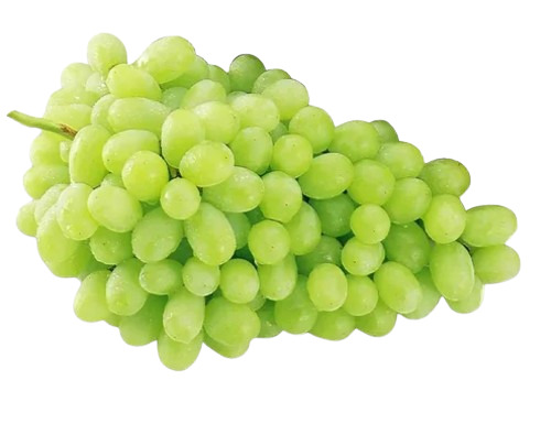 Fresh Green Grapes - Cultivation Type: Common