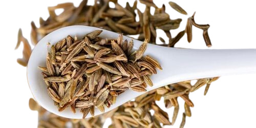 Cumin Seeds