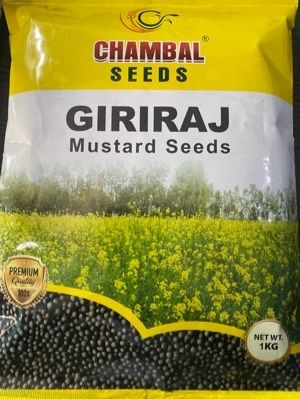 Mustard Seed