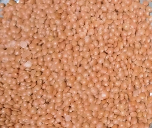 Red Lentil Masoor Dal - Whole Pink Lentils, Dried Variety | Quick Cooking Time, Mild Flavor, Nutrient-Dense, Versatile in Recipes