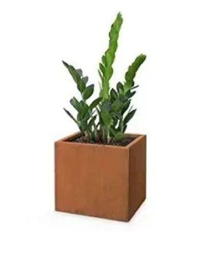 Corten Planter