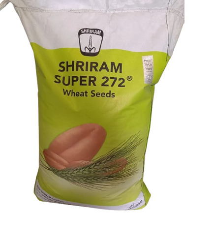 Shriram Super 272 Wheat Seed 40Kg - Shelf Life: 6 Months