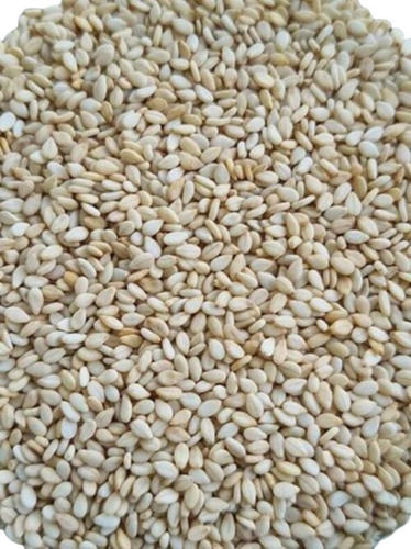 White Sesame Seeds - Cultivation Type: Common