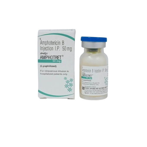 amphotericin b injection