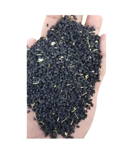 Onion Seeds - Color: Black