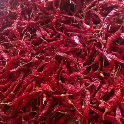 Bydagi Chilli - Fresh Quality, 100% Pure, Red Color, Whole Form, Natural Dried, 1 Year Shelf Life, Spicy Taste | Good for Health, Storage in Cool & Dry Places