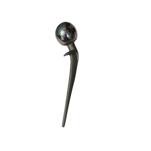 Lazcano Hip Prosthesis