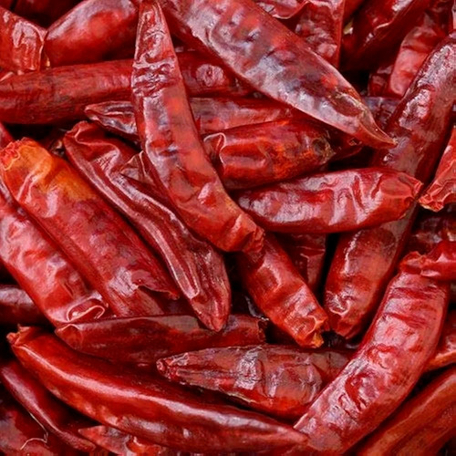 Sannam Red Chilli - Moisture (%): 10-12%